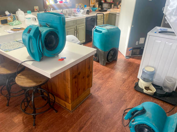 Best Water damage restoration services  in Gardendale, TX