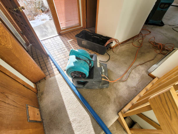 Best Ceiling water damage repair  in Gardendale, TX
