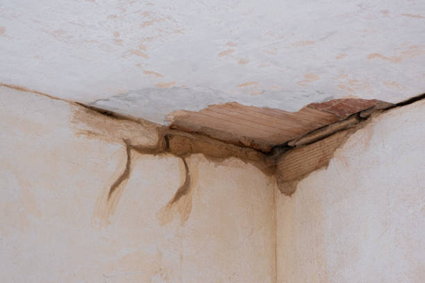 Gardendale, TX Water damage restoration Company